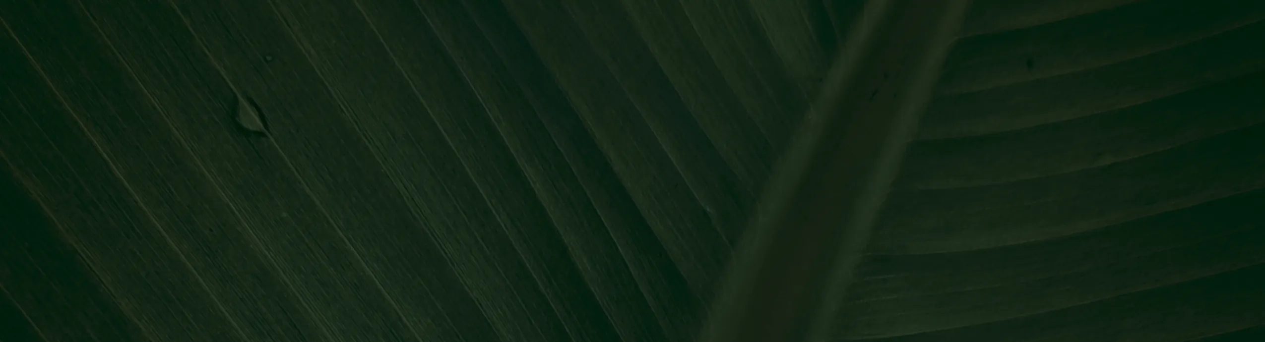 hero-image_optimized Green tea
